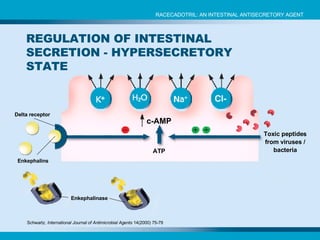 c-AMP ATP Schwartz.  International Journal of Antimicrobial Agents  14(2000) 75-79 Enkephalins Enkephalinase Delta receptor Toxic peptides from viruses / bacteria REGULATION OF INTESTINAL SECRETION - HYPERSECRETORY STATE RACECADOTRIL: AN INTESTINAL ANTISECRETORY AGENT 