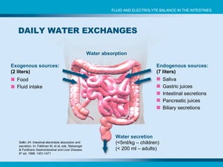 DAILY WATER EXCHANGES Sellin JH. Intestinal electrolyte absorption and secretion. In: Feldman M, et al, eds. Sleisenger & Fordtrans  Gastrointestinal and Liver Disease . 6 th  ed. 1998: 1451-1471 FLUID AND ELECTROLYTE BALANCE IN THE INTESTINES Food Fluid intake Water absorption Water secretion (<5ml/kg – children) (< 200 ml – adults) Exogenous sources: (2 liters) Endogenous sources: (7 liters) Saliva Gastric juices Intestinal secretions Pancreatic juices Biliary secretions 