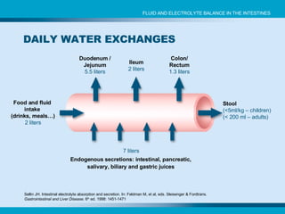 Duodenum / Jejunum 5.5 liters Endogenous secretions: intestinal, pancreatic, salivary, biliary and gastric juices 7 liters Sellin JH. Intestinal electrolyte absorption and secretion. In: Feldman M, et al, eds. Sleisenger & Fordtrans.  Gastrointestinal and Liver Disease . 6 th  ed. 1998: 1451-1471 Ileum 2 liters Colon/ Rectum 1.3 liters Stool (<5ml/kg – children) (< 200 ml – adults) Food and fluid  intake  (drinks, meals…) 2 liters FLUID AND ELECTROLYTE BALANCE IN THE INTESTINES DAILY WATER EXCHANGES 