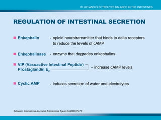 REGULATION OF INTESTINAL SECRETION  Enkephalin - opioid neurotransmitter that binds to delta receptors to reduce the levels of cAMP Schwartz.  International Journal of Antimicrobial Agents  14(2000) 75-79 VIP (Vasoactive Intestinal Peptide) Prostaglandin E 2 - increase cAMP levels Cyclic AMP - induces secretion of water and electrolytes Enkephalinase - enzyme that degrades enkephalins FLUID AND ELECTROLYTE BALANCE IN THE INTESTINES 