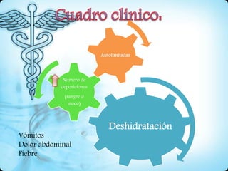 Deshidratación
Numero de
deposiciones
(sangre o
moco)
Autolimitadas
Vómitos
Dolor abdominal
Fiebre
 