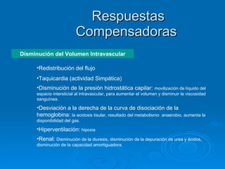 Respuestas Compensadoras  Disminución del Volumen Intravascular Redistribución del flujo Taquicardia (actividad Simpática) Disminución de la presión hidrostática capilar:  movilización de líquido del espacio intersticial al intravascular, para aumentar el volumen y disminuir la viscosidad sanguínea. Desviación a la derecha de la curva de disociación de la hemoglobina:  la acidosis tisular, resultado del metabolismo  anaerobio, aumenta la disponibilidad del gas. Hiperventilación:  hipoxia Renal:  Disminución de la diuresis, disminución de la depuración de urea y ácidos, disminución de la capacidad amortiguadora. 