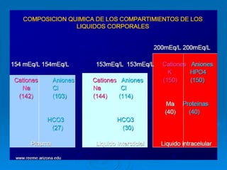 COMPOSICION QUIMICA DE LOS COMPARTIMIENTOS DE LOS LIQUIDOS CORPORALES 154 mEq/L 154mEq/L  153mEq/L 153mEq/ 