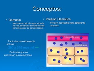 Conceptos: Osmosis Movimiento neto de agua a través de una membrana semipermeable por diferencias de concentración. Presión Osmótica Presión necesaria para detener la osmosis. Partículas osmóticamente activas :  290 a 310 mosm/l   Partículas que no atraviesan las membranas  