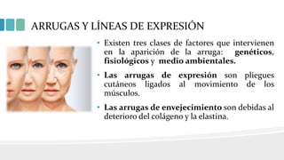 ARRUGAS Y LÍNEAS DE EXPRESIÓN
• Existen tres clases de factores que intervienen
en la aparición de la arruga: genéticos,
fisiológicos y medio ambientales.
• Las arrugas de expresión son pliegues
cutáneos ligados al movimiento de los
músculos.
• Las arrugas de envejecimiento son debidas al
deterioro del colágeno y la elastina.
 