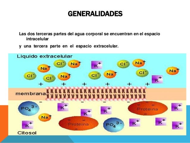 Imagen relacionada