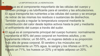  LA IMPORTANCIA DE LA HIDRATACION:
 El agua es el componente mayoritario de las células del cuerpo y
también protege y es lubrificante para el cerebro y las articulaciones.
El agua transporta los nutrientes a las células del cuerpo y se encarga
de retirar de las mismas los residuos o sustancias de deshechos.
También ayuda a regular la temperatura corporal mediante la
redistribución del calor desde tejidos activos hasta la piel y mediante
el enfriamiento del cuerpo a través del sudor.
El agua es el componente principal del cuerpo humano: normalmente
representa el 60% del peso corporal en hombres adultos, y es
ligeramente inferior, un 50-55%, en mujeres debido a su proporción
más alta de grasa corporal. El cerebro y los músculos son
aproximadamente un 75% agua, la sangre y los riñones un 81%, el
hígado un 71%, los huesos un 22% y el tejido adiposo un 20%.
 