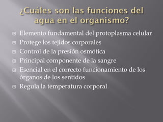    Elemento fundamental del protoplasma celular
   Protege los tejidos corporales
   Control de la presión osmótica
   Principal componente de la sangre
   Esencial en el correcto funcionamiento de los
    órganos de los sentidos
   Regula la temperatura corporal
 