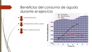 Beneficios del consumo de aguda
durante el ejercicio
 Deshidratación
 Temperatura del cuerpo
 Estrés cardiovascular
 