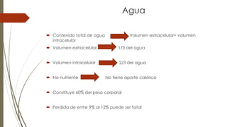 Agua
 Contenido total de agua Volumen extracelular+ volumen
intracelular
 Volumen extracelular 1/3 del agua
 Volumen intracelular 2/3 del agua
 No nutriente No tiene aporte calórico
 Constituye 60% del peso corporal
 Perdida de entre 9% al 12% puede ser fatal
 