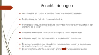 Función del agua
 Fluidos corporales poseen agentes amortiguadores que regulan el ph.
 Facilita disipación del calor durante el ejercicio
 Hormonas que regulan el metabolismo y actividad muscular son transportados por
el plasma de la sangre
 Transporte de nutrientes hacia los músculos por el plasma de la sangre
 Transporte de glóbulos rojos que llevan el oxigeno hacia los músculos
 Desechos metabólicos que abandonan nuestras células , entran al plasma para
ser expulsados por nuestro cuerpo
 Determinante importante en la tensión arterial Función cardiovascular
 