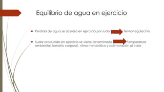 Equilibrio de agua en ejercicio
 Perdida de agua se acelera en ejercicio por sudor Termorregulación
 Sudor producido en ejercicio se viene determinado Temperatura
ambiental, tamaño corporal , ritmo metabólico y aclimatación al calor
 