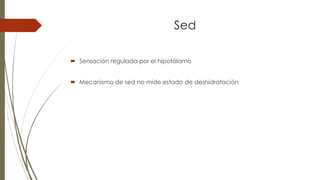 Sed
 Sensación regulada por el hipotálamo
 Mecanismo de sed no mide estado de deshidratación
 