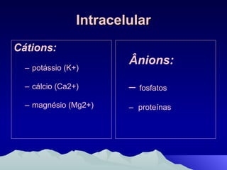 Intracelular Cátions:   potássio (K+) cálcio (Ca2+) magnésio (Mg2+) Ânions:   fosfatos  proteínas 