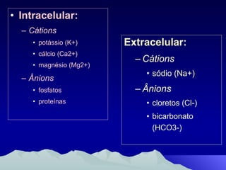 Intracelular: Cátions potássio (K+) cálcio (Ca2+) magnésio (Mg2+) Ânions fosfatos  proteínas Extracelular: Cátions   sódio (Na+)  Ânions   cloretos (Cl-) bicarbonato (HCO3-) 