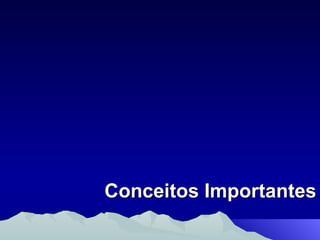 Conceitos Importantes 