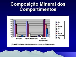 Composição Mineral dos Compartimentos 