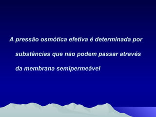 A pressão osmótica efetiva é determinada por substâncias que não podem passar através da membrana semipermeável 