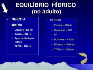 EQUILÍBRIO  HÍDRICO  (no adulto) PERDAS Fecais – 100ml Cutâneas – 600 ml Pulmões – 400ml Diurese - 1500 ml TOTAL = 2600 ml INGESTA DIÁRIA Líquidos 1500 ml Sólidos - 800 ml Água de Oxidação -300ml TOTAL – 2600 ml 