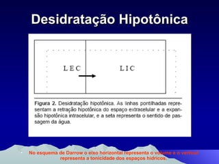Desidratação Hipotônica No esquema de Darrow o eixo horizontal representa o volume e o vertical representa a tonicidade dos espaços hídricos. 