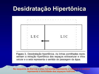 Desidratação Hipertônica No esquema de Darrow o eixo horizontal representa o volume e o vertical representa a tonicidade dos espaços hídricos. 