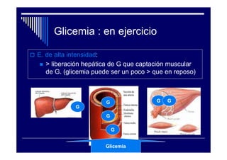 Glicemia : en ejercicio

E. de alta intensidad:
   > liberación hepática de G que captación muscular
   de G. (glicemia puede ser un poco > que en reposo)



                       G               G   G
            G
                       G

                           G
                   G
                       Glicemia
 