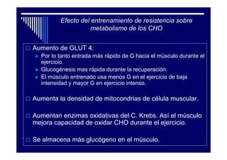 Efecto del entrenamiento de resistencia sobre
                    metabolismo de los CHO


Aumento de GLUT 4:
  Por lo tanto entrada más rápido de G hacia el músculo durante el
  ejercicio.
  Glucogénesis mas rápida durante la recuperación.
  El músculo entrenado usa menos G en el ejercicio de baja
  intensidad y mayor G en ejercicio intenso.

Aumenta la densidad de mitocondrias de célula muscular.

Aumentan enzimas oxidativas del C. Krebs. Así el músculo
mejora capacidad de oxidar CHO durante el ejercicio.

Se almacena más glucógeno en el músculo.
 