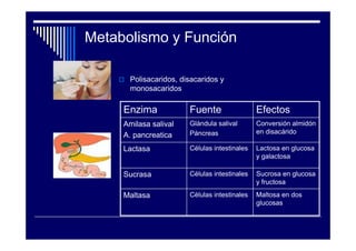 Metabolismo y Función

      Polisacaridos, disacaridos y
      monosacaridos

     Enzima            Fuente                 Efectos
     Amilasa salival   Glándula salival       Conversión almidón
                       Páncreas               en disacárido
     A. pancreatica
     Lactasa           Células intestinales   Lactosa en glucosa
                                              y galactosa

     Sucrasa           Células intestinales   Sucrosa en glucosa
                                              y fructosa

     Maltasa           Células intestinales   Maltosa en dos
                                              glucosas
 