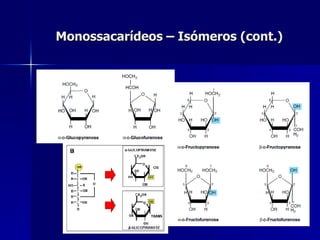 Monossacarídeos – Isómeros (cont.) 