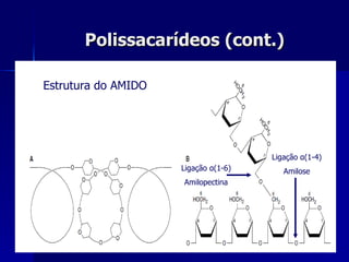 Polissacarídeos (cont.) Estrutura do AMIDO Ligação  α (1-6) Amilopectina Ligação  α (1-4) Amilose 