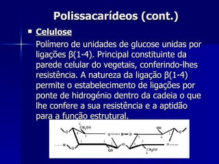 Polissacarídeos (cont.) Celulose Polímero de unidades de glucose unidas por ligações  β (1-4). Principal constituinte da parede celular do vegetais, conferindo-lhes resistência. A natureza da ligação  β (1-4) permite o estabelecimento de ligações por ponte de hidrogénio dentro da cadeia o que lhe confere a sua resistência e a aptidão para a função estrutural. 