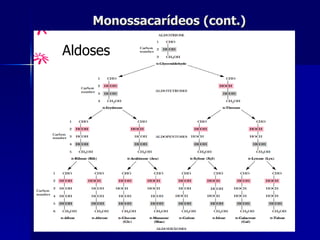 Monossacarídeos (cont.) Aldoses Aldoses 