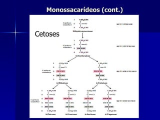 Monossacarídeos (cont.) Cetoses 