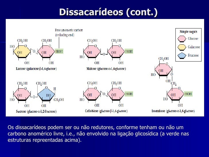 Apresente Exemplos E Suas Fontes De Dissacarídeos Com Importância Nutricional