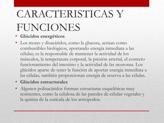 CARACTERISTICAS Y
FUNCIONES
• Glúcidos energéticos
• Los mono y disacáridos, como la glucosa, actúan como
  combustibles biológicos, aportando energía inmediata a las
  células; es la responsable de mantener la actividad de los
  músculos, la temperatura corporal, la presión arterial, el correcto
  funcionamiento del intestino y la actividad de las neuronas. Los
  glúcidos aparte de tener la función de aportar energía inmediata a
  las células, también proporcionan energía de reserva a las células.
• Glúcidos estructurales
• Algunos polisacáridos forman estructuras esqueléticas muy
  resistentes, como la celulosa de las paredes de células vegetales y
  la quitina de la cutícula de los artrópodos.
 