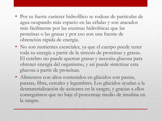 • Por su fuerte carácter hidrofílico se rodean de partículas de
  agua ocupando más espacio en las células y son atacados
  más fácilmente por las enzimas hidrolíticas que las
  proteínas o las grasas y por eso son una fuente de
  obtención rápida de energía.
• No son nutrientes esenciales, ya que el cuerpo puede tener
  toda su energía a partir de la síntesis de proteínas y grasas.
  El cerebro no puede quemar grasas y necesita glucosa para
  obtener energía del organismo, y así puede sintetizar esta
  glucosa a partir de proteínas.
• Alimentos con altos contenidos en glúcidos son pastas,
  patatas, fibra, cereales y legumbres. Los glúcidos ayudan a la
  desmaterialización de azúcares en la sangre, y gracias a ellos
  conseguimos que no baje el porcentaje medio de insulina en
  la sangre.
 