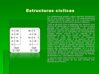 Estructuras cíclicas
        Las aldohexosas poseen cuatro carbonos asimétricos
        por lo que pueden existir 24 = 16 estereoisómeros
        distintos, dos de los cuales son la D (+) glucosa y la D
        (+) galactosa (ver la derivación de las D aldosas)
        Tanto la glucosa como la galactosa son hexosas cuya
        fórmula sin desarrollar es C6H12O6. Es decir q estos
        glúcidos son isómeros funcionales. Las fórmulas
        lineales se escriben para facilitar la comprensión de su
        estructura, pero en la naturaleza los monosacáridos
        adoptan formas cíclicas lo que además da la
        posibilidad de una nueva forma de isomería. Al
        formarse el anillo los átomos se reordenan
        internamente dando lugar a la aparición de otro
        carbono asimétrico, el primer carbono comenzando a
        contar desde arriba en la figura anterior, este es el
        carbono (1). Nótese la posición del grupo oxhidrilo en
        ambas formas isoméricas. Este carbono asimétrico
        origina dos configuraciones posibles, la α y la β.
        Aparece de esta forma un oxhidrilo con propiedades
        especiales, debido al cual algunos monosacáridos son
        reductores en disolución (ver reacciones de Fehling,
        de Benedict, etc., para detectar hexosas).
        La glucosa existe como la forma α–D glucosa o la β–D
        glucosa o una mezcla de las dos, aunque pre-
        dominando la forma α.
 