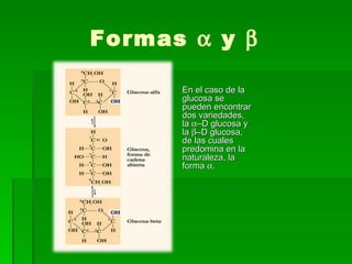 Formas α y β

      En el caso de la
      glucosa se
      pueden encontrar
      dos variedades,
      la α–D glucosa y
      la β–D glucosa,
      de las cuales
      predomina en la
      naturaleza, la
      forma α.
 