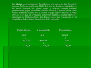 Las triosas son monosacáridos formados por una cadena de tres átomos de
carbono. Su fórmula empírica es C3H6O3. Como en los demás monosacáridos, en
las triosas aparecen los grupos cetona y aldehído, también llamados
genéricamente grupos funcionales carbonilo. Si llevan la función cetona se les
nombra añadiendo el prefijo ceto- y si llevan el grupo aldehído se añade el prefijo
aldo-, de modo que los compuestos se llamarán aldotriosas (o gliceraldehído) y
cetotriosas (o dihidroxiacetona). Las triosas tienen gran importancia en el
metabolismo de los hidratos de carbono y de la respiración




      D-gliceraldehido          L-gliceraldehido            Dihidroxicetona

            CHO                     CHO                         CH2OH
                 |                       |                           |
             H-C-O-H               H-O-C-H                          C=O
               |                       |                           |
               CH2OH                    CH2OH                      CH2OH
 