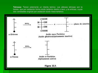 Tetrosas: Tienen solamente un interés teórico. Las aldosas tetrosas son la
treosa, que por oxidación forma ácido tartárico dextro o levo, y la eritrosa, cuyas
dos variedades originan por oxidación ácido meso-tartárico.
 