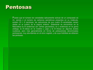 Pentosas
  Puesto que el número de variedades ópticamente activas de un compuesto es
  2n, siendo n el número de carbonos asimétricos presentes en su molécula,
  existen 23 = 8 pentosas; las estructuras de sus cuatro D–variedades vienen
  dadas en el cuadro de la página anterior. Solamente se encuentran en la
  Naturaleza la D–arabinosa (en ciertos glucósidos), la L–arabinosa en la goma
  arábiga, la D–xilosa en la madera y paja y la D–ribosa en algunos ácidos
  nucleicos, pero más generalmente en forma de polisacáridos denominados
  pentosanas, muy abundantes en el reino vegetal, y de cuya hidrólisis se obtienen
  las pentosas.
 