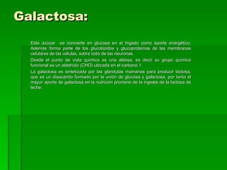Galactosa:
  Este azúcar se convierte en glucosa en el hígado como aporte energético.
  Además forma parte de los glucolípidos y glucoproteínas de las membranas
  celulares de las células, sobre todo de las neuronas.
  Desde el punto de vista químico es una aldosa, es decir su grupo químico
  funcional es un aldehído (CHO) ubicada en el carbono 1.
  La galactosa es sintetizada por las glándulas mamarias para producir lactosa,
  que es un disacárido formado por la unión de glucosa y galactosa, por tanto el
  mayor aporte de galactosa en la nutrición proviene de la ingesta de la lactosa de
  leche.
 