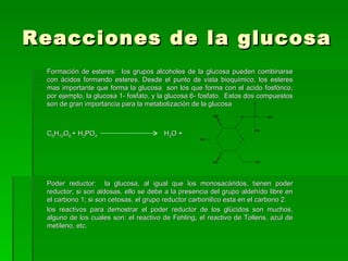 Reacciones de la glucosa
 Formación de esteres: los grupos alcoholes de la glucosa pueden combinarse
 con ácidos formando esteres. Desde el punto de vista bioquímico, los esteres
 mas importante que forma la glucosa son los que forma con el acido fosfórico,
 por ejemplo, la glucosa 1- fosfato, y la glucosa 6- fosfato. Estos dos compuestos
 son de gran importancia para la metabolización de la glucosa



 C6H12O6 + H3PO4                       H2O +




 Poder reductor: la glucosa, al igual que los monosacáridos, tienen poder
 reductor; si son aldosas, ello se debe a la presencia del grupo aldehído libre en
 el carbono 1; si son cetosas, el grupo reductor carbonilico esta en el carbono 2.
 los reactivos para demostrar el poder reductor de los glúcidos son muchos,
 alguno de los cuales son: el reactivo de Fehling, el reactivo de Tollens, azul de
 metileno, etc.
 