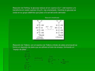 Reacción de Fehling: la glucosa reduce al ion cúprico (Cu2+ ) del reactivo y lo
transforma en oxido cuproso (Cu2O), rojo anaranjado, mientras la glucosa se
oxida en su grupo aldehído que pasa a la sal del acido derivado:

                                        Reacción simplificada:




Reacción de Tollens: con el reactivo de Tollens (nitrato de plata amoniacal) se
forma un deposito de plata que se adhiere al tubo de ensayo, formando un
“espejo de plata” .
 