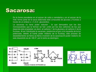 Sacarosa:
  Es la forma prevalente en el azúcar de caña o remolacha y en el azúcar de la
  miel, forma parte de la savia elaborada está compuesta de glucosa y fructosa a
  través de un enlace α– (1,2) β –glucosídico.
  La sacarosa no tiene poder reductor , lo que demuestra que los dos
  monosacáridos que la forman se han unido por los dos carbonos de los que
  depende esta propiedad, es decir, el carbono 1 de la glucosa y el carbono 2 de la
  fructosa. Al ser hidrolizada la sacarosa, predomina el giro a la izquierda de la luz
  polarizada, debido al fuerte poder rotatorio de la fructosa, este proceso de
  desdoblamiento se llama se llama inversión de la sacarosa.El poder rotatorio de
  este disacárido es de +66.4º, por lo tanto es dextrógiro.
 