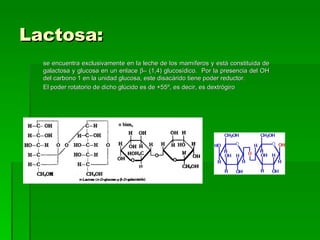 Lactosa:
  se encuentra exclusivamente en la leche de los mamíferos y está constituida de
  galactosa y glucosa en un enlace β– (1,4) glucosídico. Por la presencia del OH
  del carbono 1 en la unidad glucosa, este disacárido tiene poder reductor.
  El poder rotatorio de dicho glúcido es de +55º, es decir, es dextrógiro
 