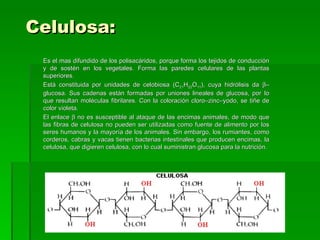 Celulosa:
 Es el mas difundido de los polisacáridos, porque forma los tejidos de conducción
 y de sostén en los vegetales. Forma las paredes celulares de las plantas
 superiores.
 Está constituida por unidades de celobiosa (C21H22O11), cuya hidrólisis da β–
 glucosa. Sus cadenas están formadas por uniones lineales de glucosa, por Io
 que resultan moléculas fibrilares. Con la coloración cloro–zinc–yodo, se tiñe de
 color violeta.
 El enlace β no es susceptible al ataque de las encimas animales, de modo que
 las fibras de celulosa no pueden ser utilizadas como fuente de alimento por los
 seres humanos y la mayoría de los animales. Sin embargo, los rumiantes, como
 corderos, cabras y vacas tienen bacterias intestinales que producen encimas, la
 celulosa, que digieren celulosa, con lo cual suministran glucosa para la nutrición.
 