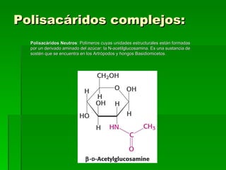 Polisacáridos complejos:
  Polisacáridos Neutros: Polímeros cuyas unidades estructurales están formadas
  por un derivado aminado del azúcar: la N-acetilglucosamina. Es una sustancia de
  sostén que se encuentra en los Artrópodos y hongos Basidiomicetos.
 