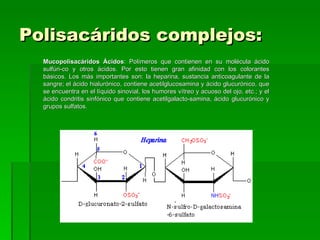 Polisacáridos complejos:
  Mucopolisacáridos Ácidos: Polímeros que contienen en su molécula ácido
  sulfúri-co y otros ácidos. Por esto tienen gran afinidad con los colorantes
  básicos. Los más importantes son: la heparina, sustancia anticoagulante de la
  sangre; el ácido hialurónico, contiene acetilglucosamina y ácido glucurónico, que
  se encuentra en el líquido sinovial, los humores vítreo y acuoso del ojo, etc.; y el
  ácido condritis sinfónico que contiene acetilgalacto-samina, ácido glucurónico y
  grupos sulfatos.
 