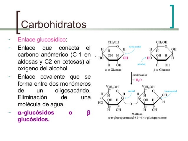 Tipo De Enlace De Los Carbohidratos